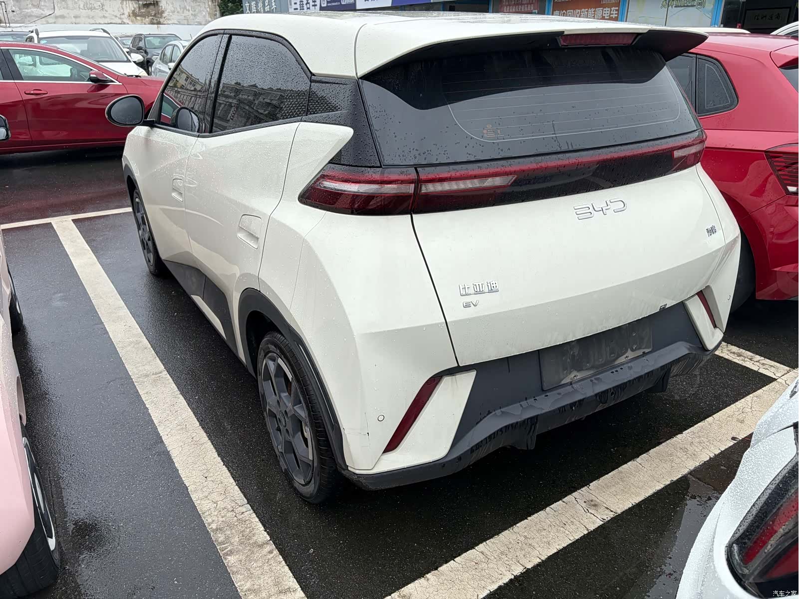 BYD Seagull, 2024 4