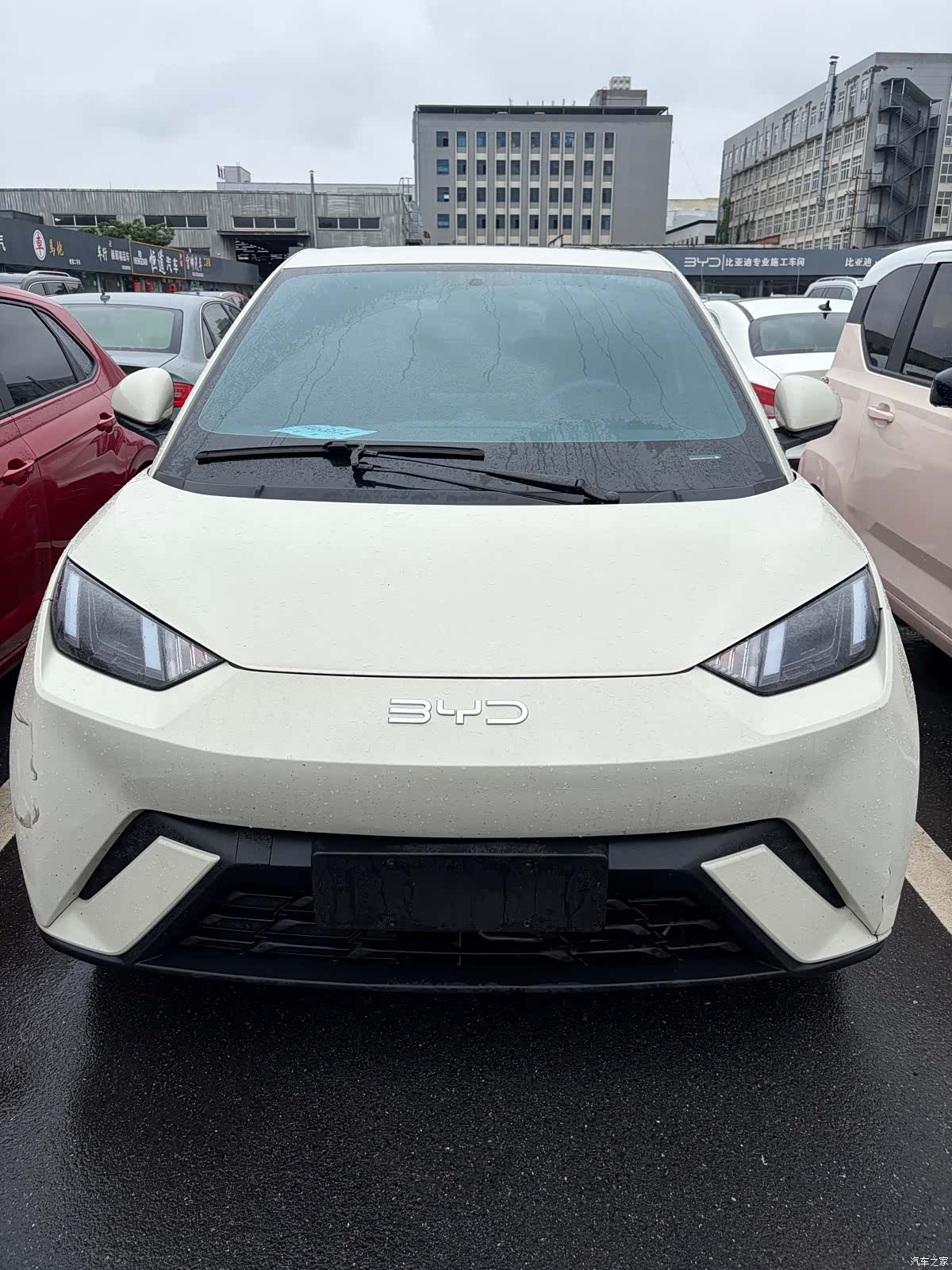 BYD Seagull, 2024 2