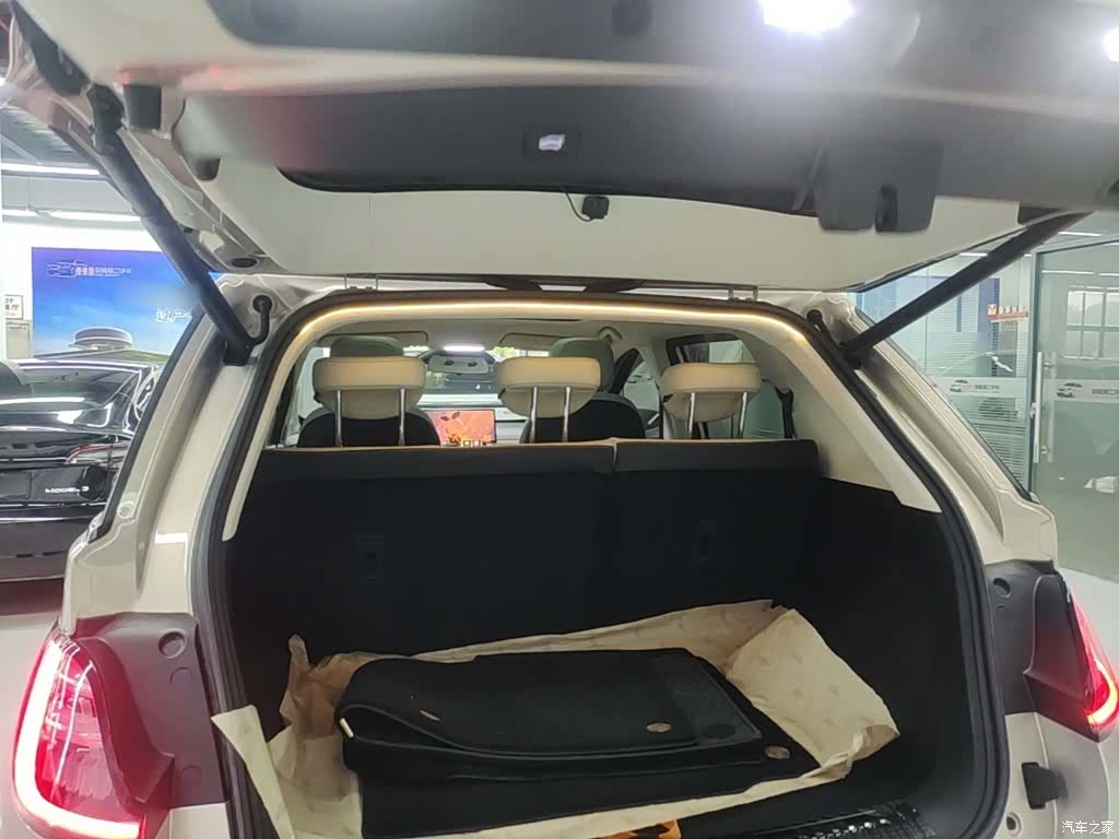 Wuling 460, 2023 19