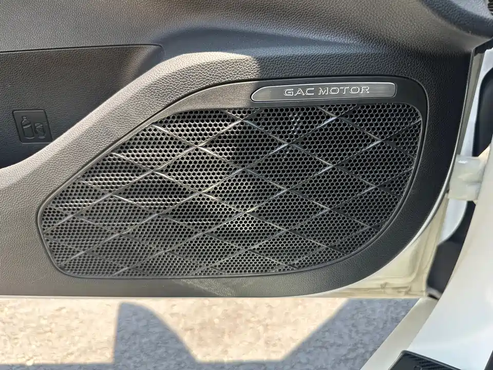 Trumpchi Shadow Leopard