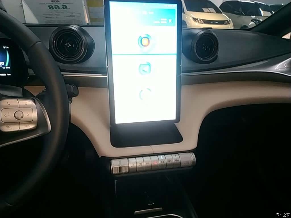 BYD Dolphin, 2024 13