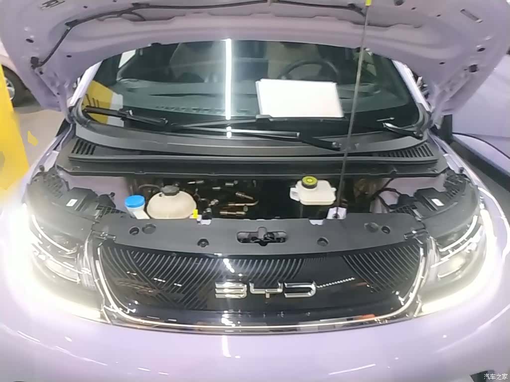 BYD Dolphin, 2024 20