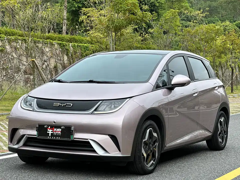 BYD dolphin