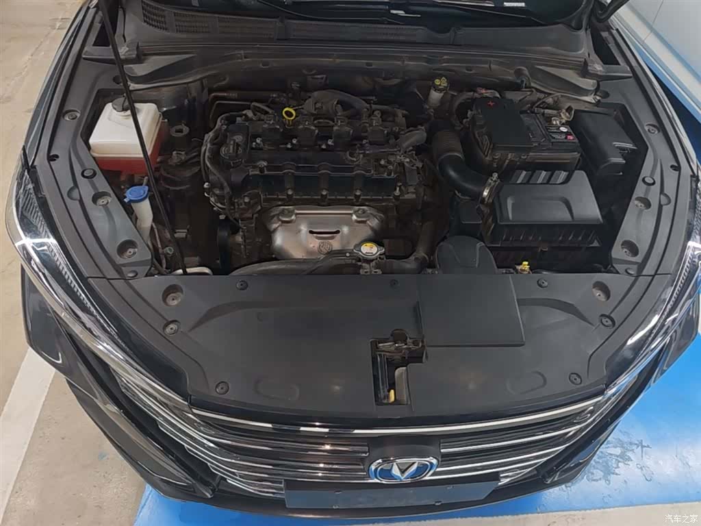 Changan Eado, 2023 20