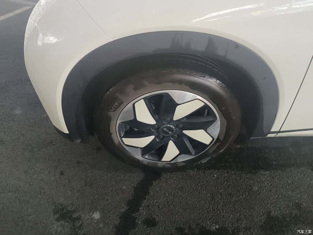 BYD Dolphin, 2024 25