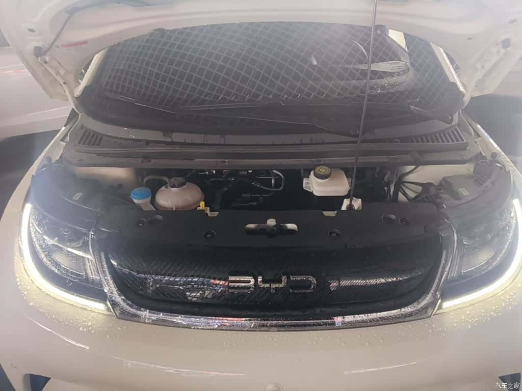 BYD Dolphin, 2024 16