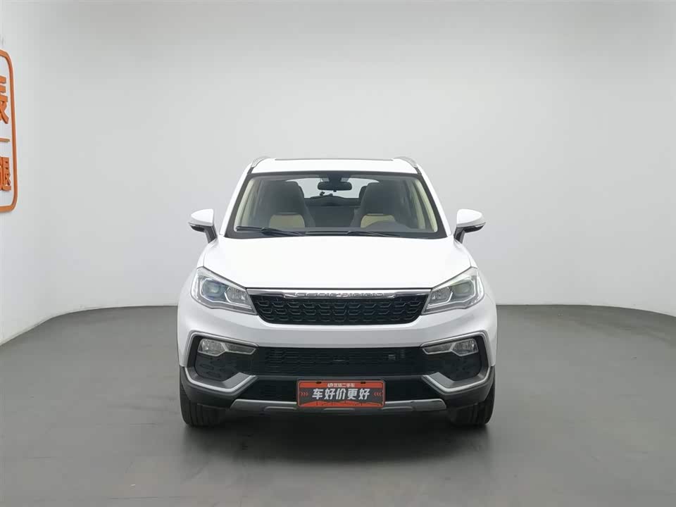 Leopaard Cheetah CS9