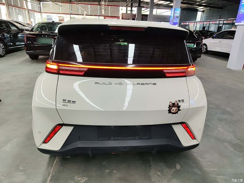 BYD Seagull, 2024 6
