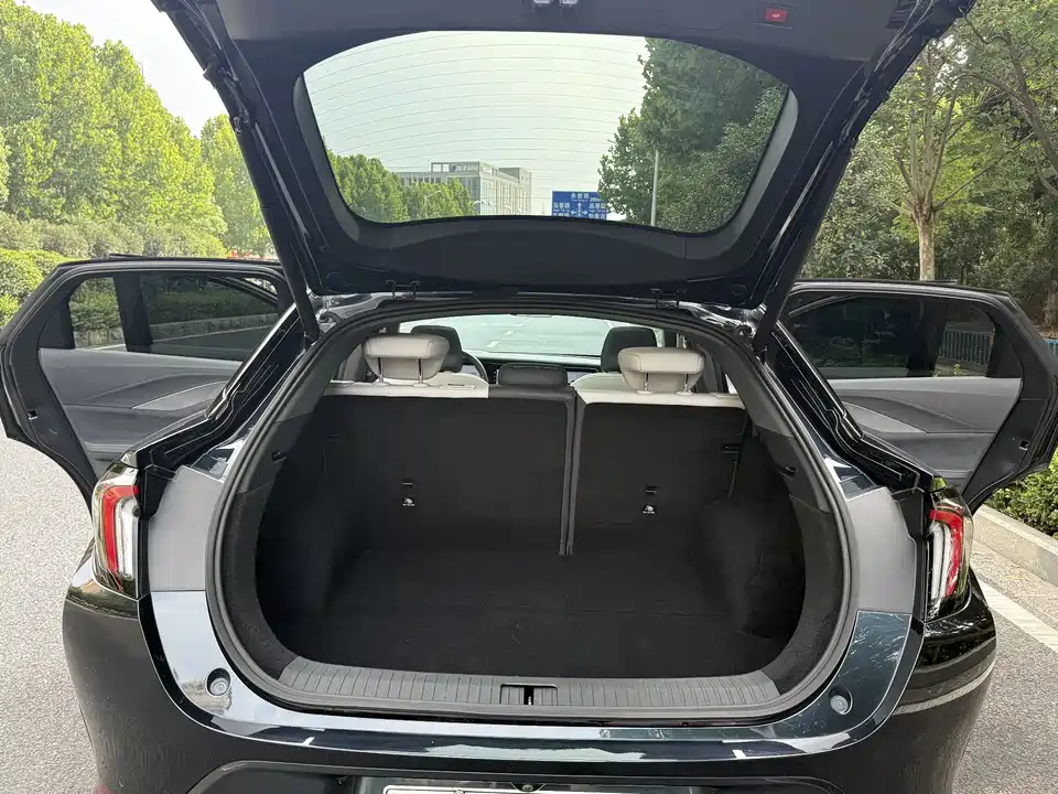 ARCFOX Polar Fox Alpha S