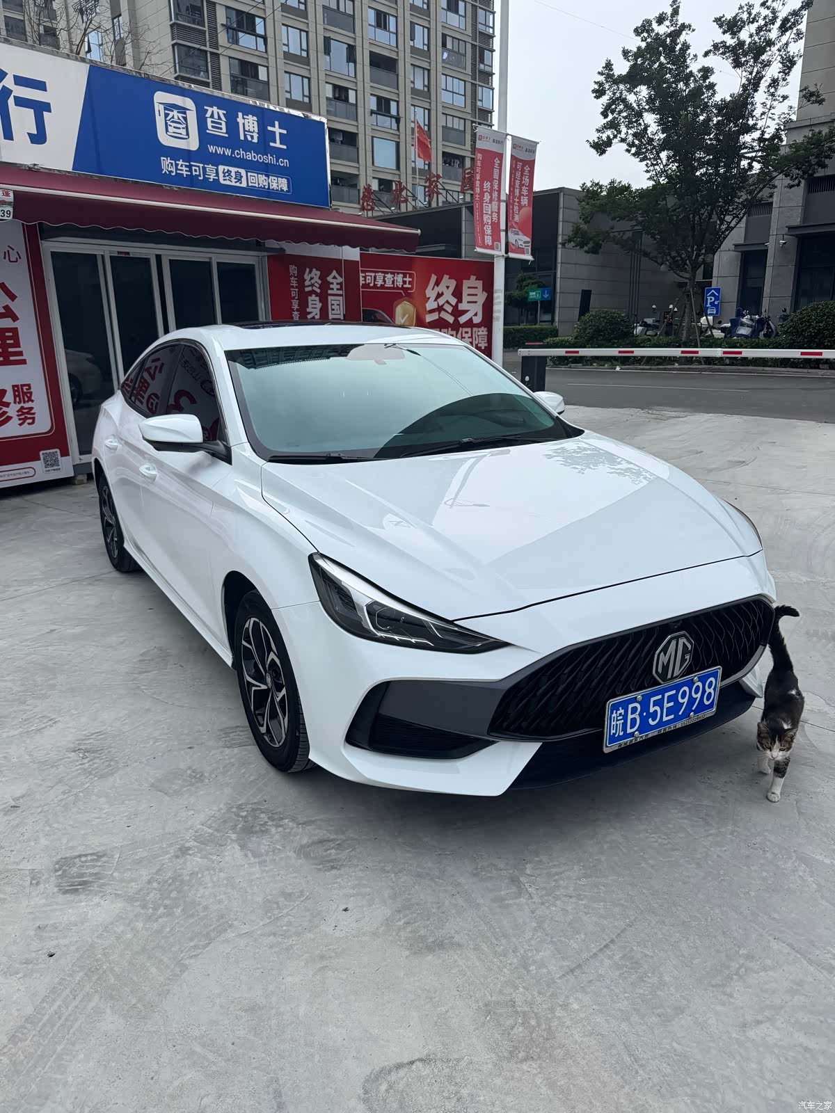 MG MG5, 2024 2