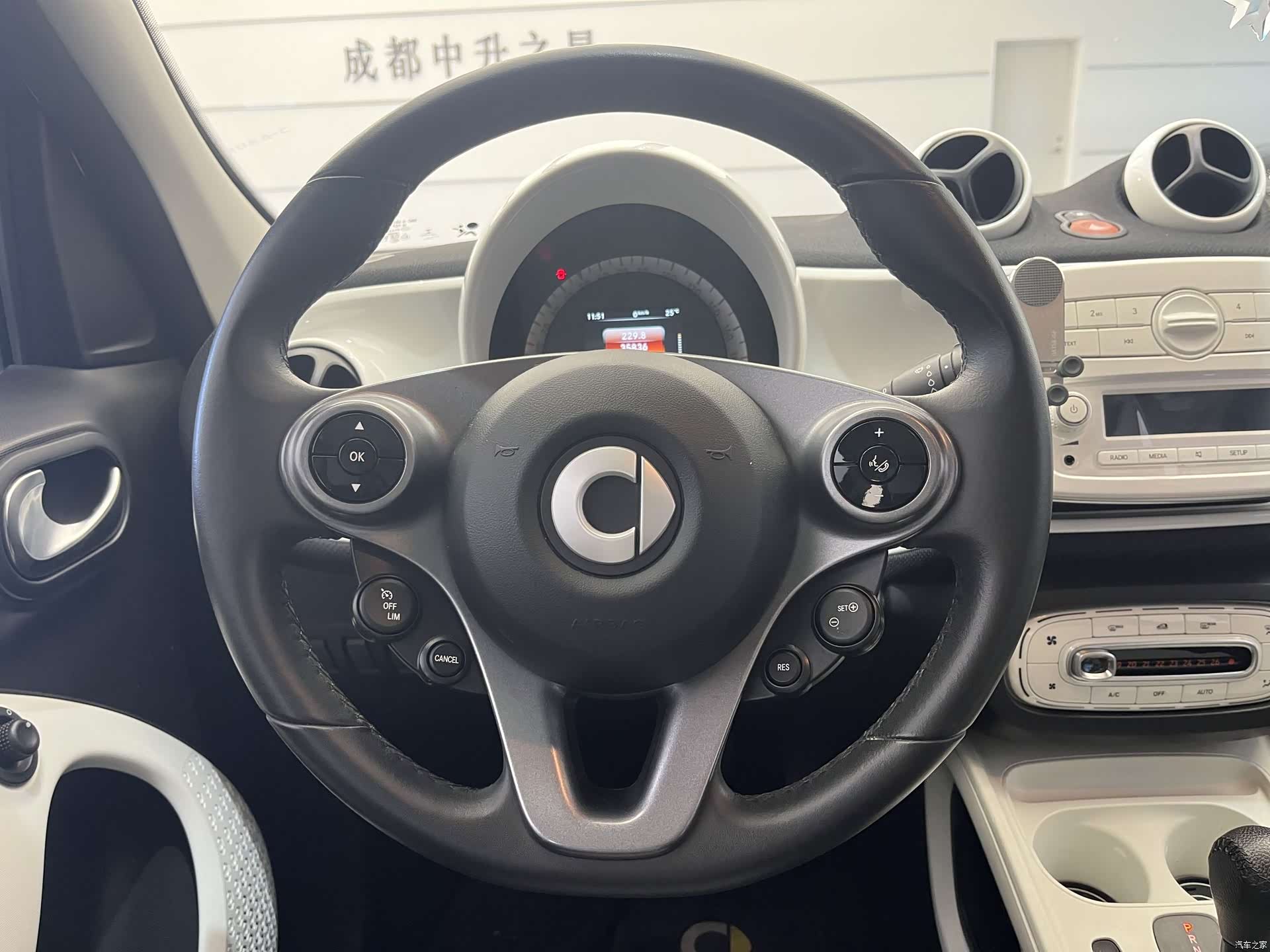 Smart Forfour, 2017 13