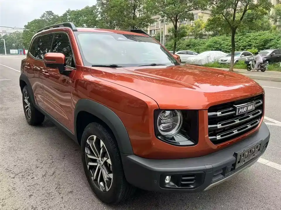 Haval Big dog