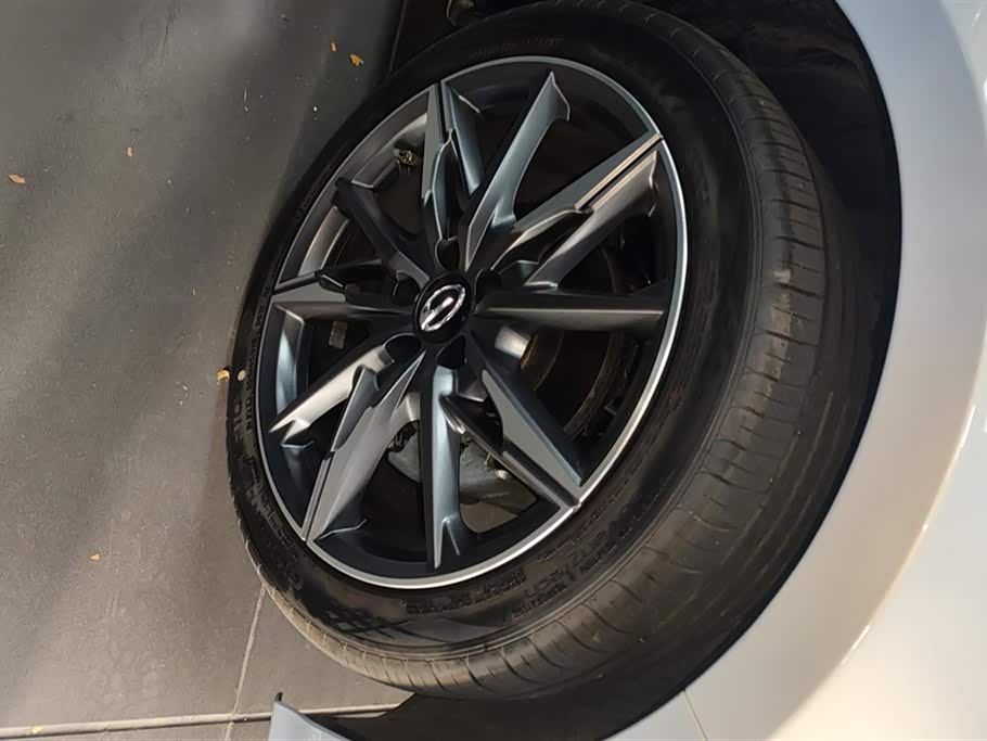 Trumpchi Shadow Leopard