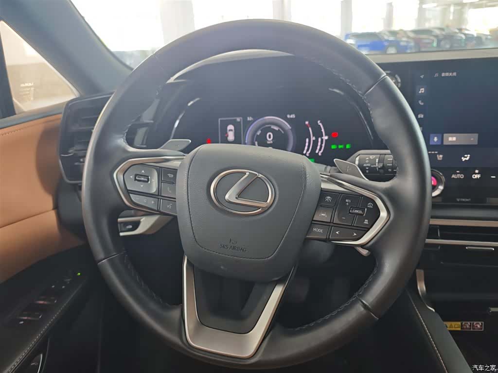 Lexus RX, 2023 8