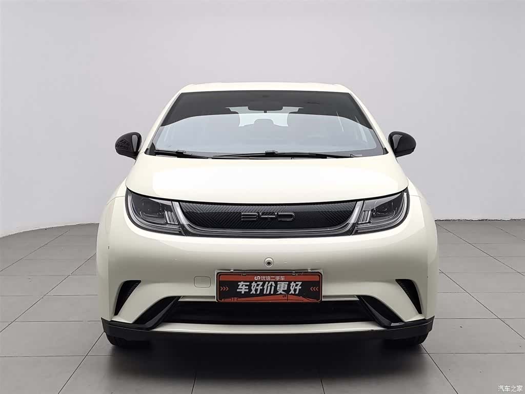 BYD Dolphin, 2024 3