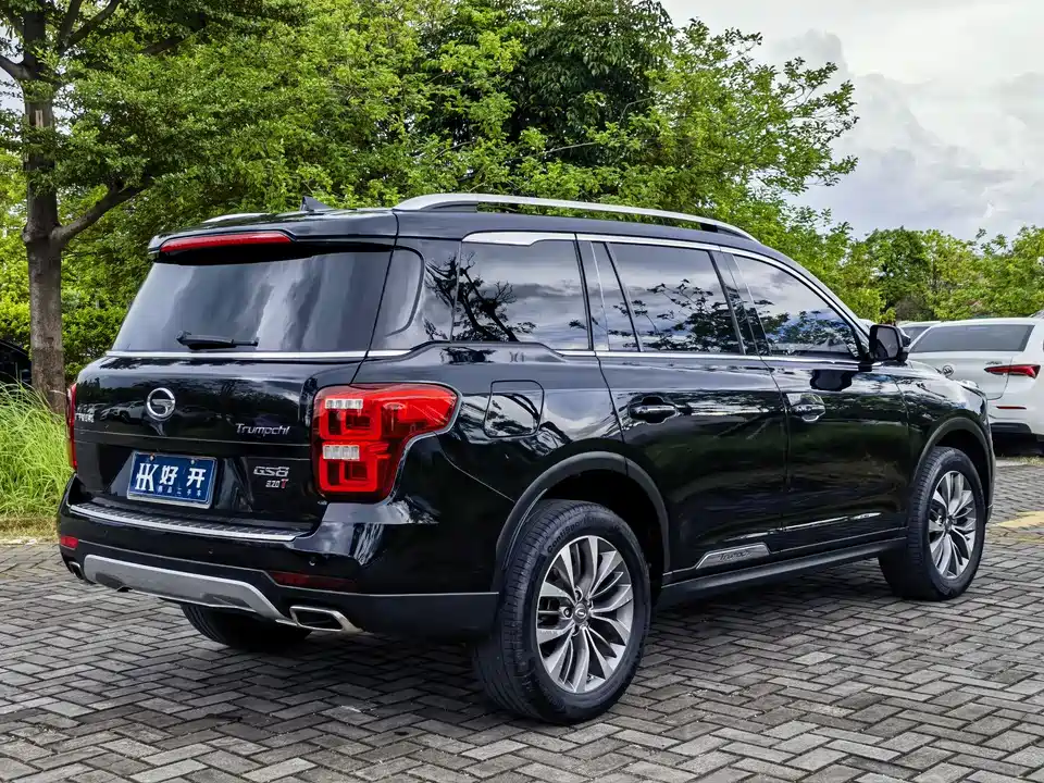 Trumpchi Trumpchi GS8