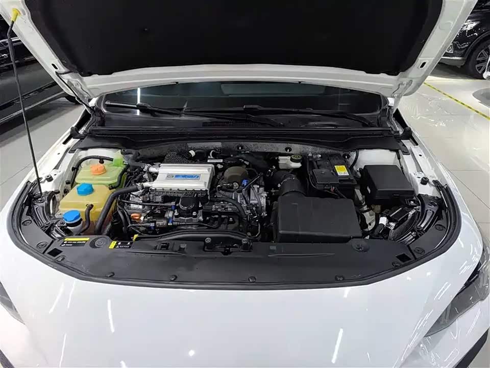 Trumpchi Shadow Leopard