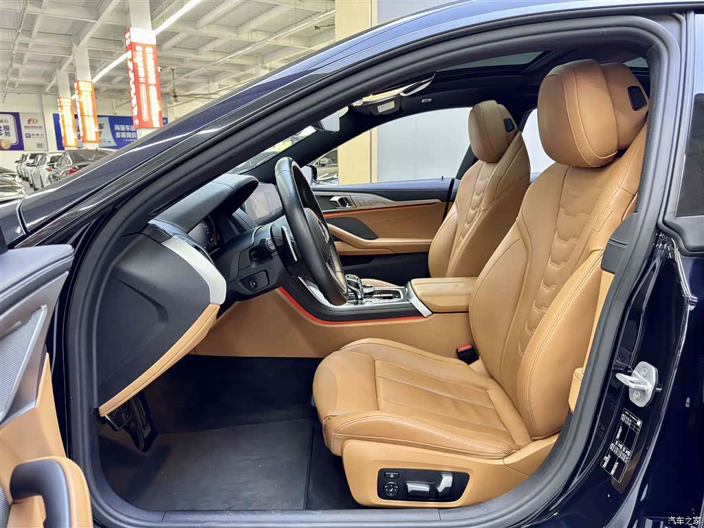 BMW 8 Series, 2020 8