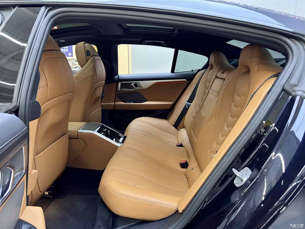 BMW 8 Series, 2020 7