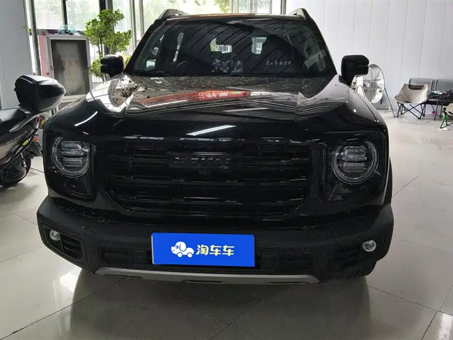 Haval Big dog