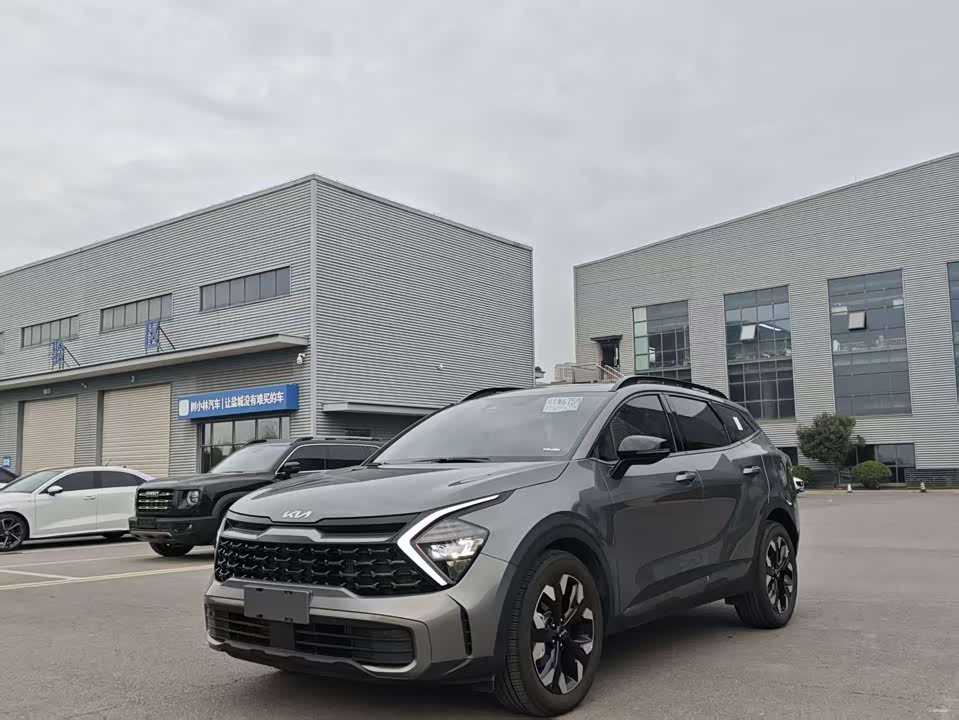 Kia Lion Platinum expands the world