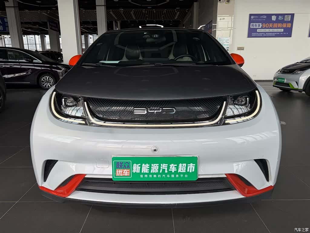BYD Dolphin, 2022 2