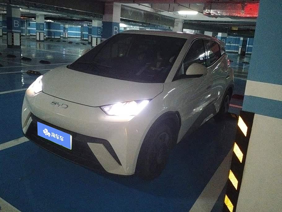 BYD Seagull