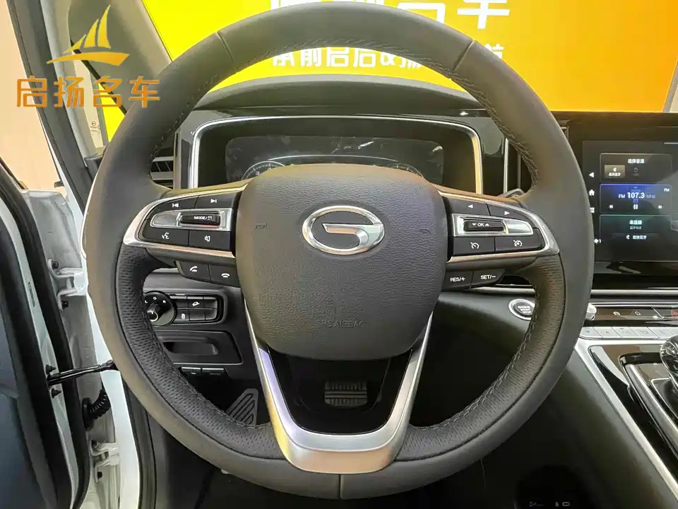Trumpchi Trumpchi M8