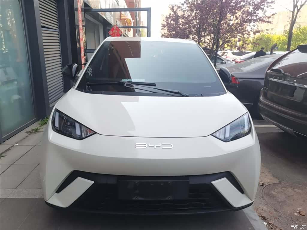 BYD Seagull, 2023 3