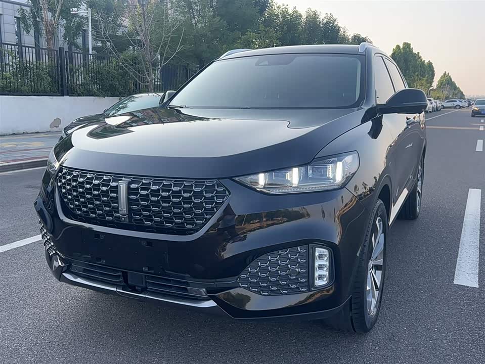 Weipai VV6