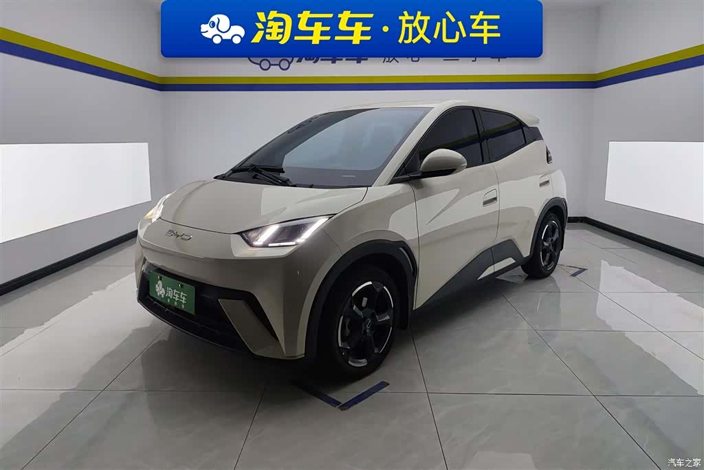 BYD Seagull, 2024 1