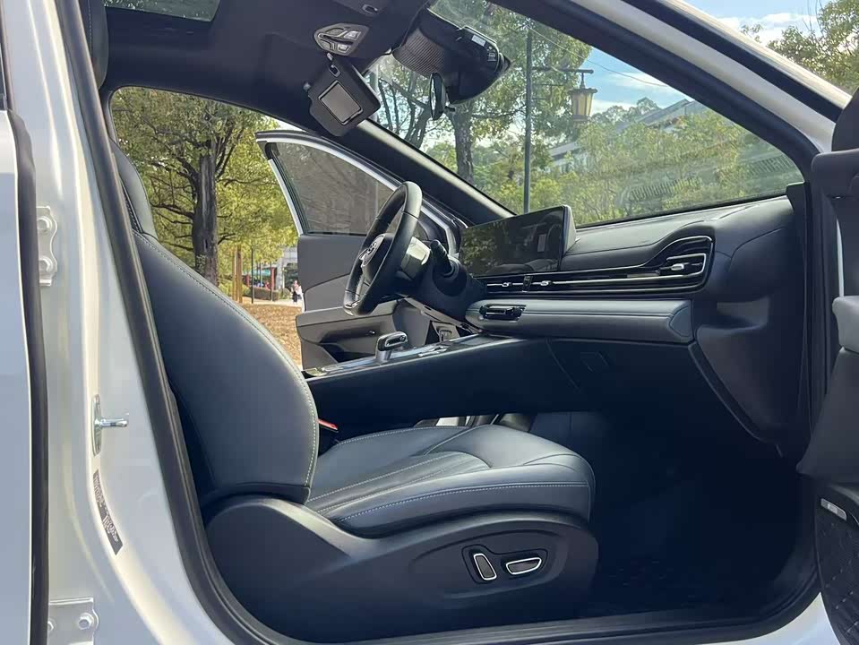 Trumpchi Shadow Leopard