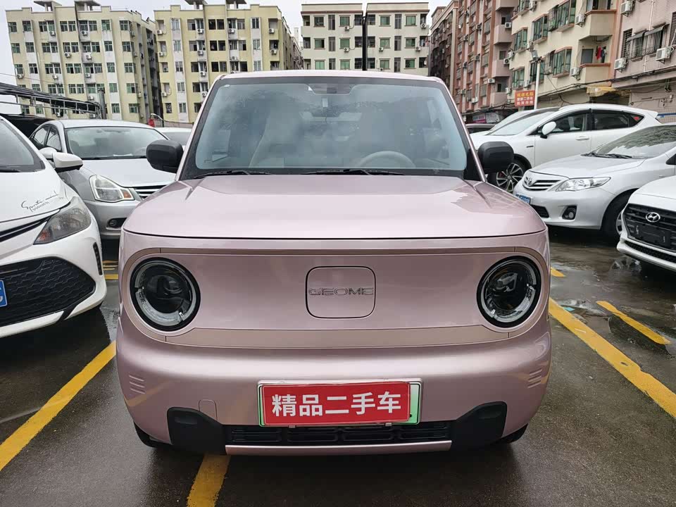 Geely Galaxy panda Geely Galaxy panda