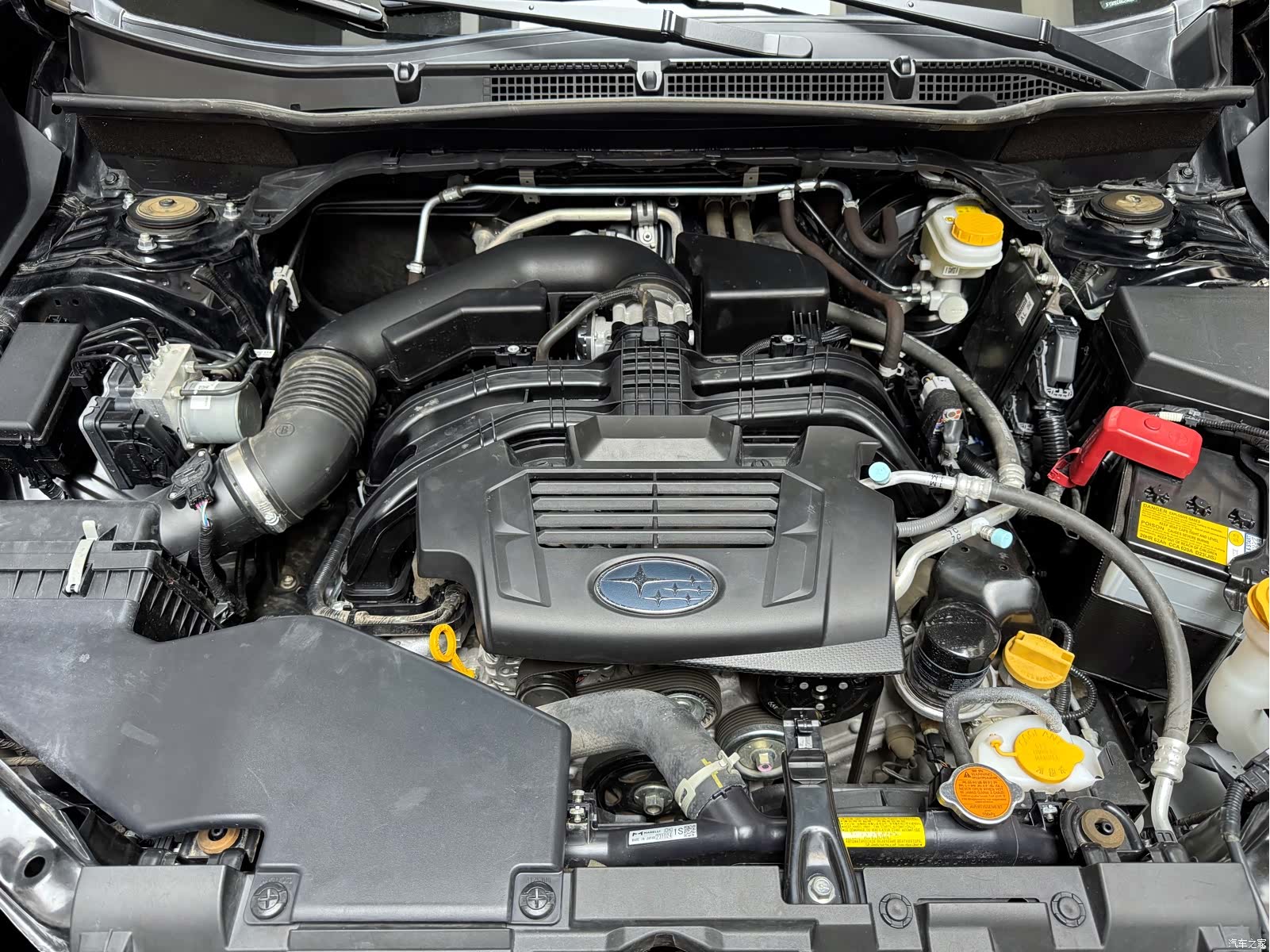 Subaru Forester, 2024 7
