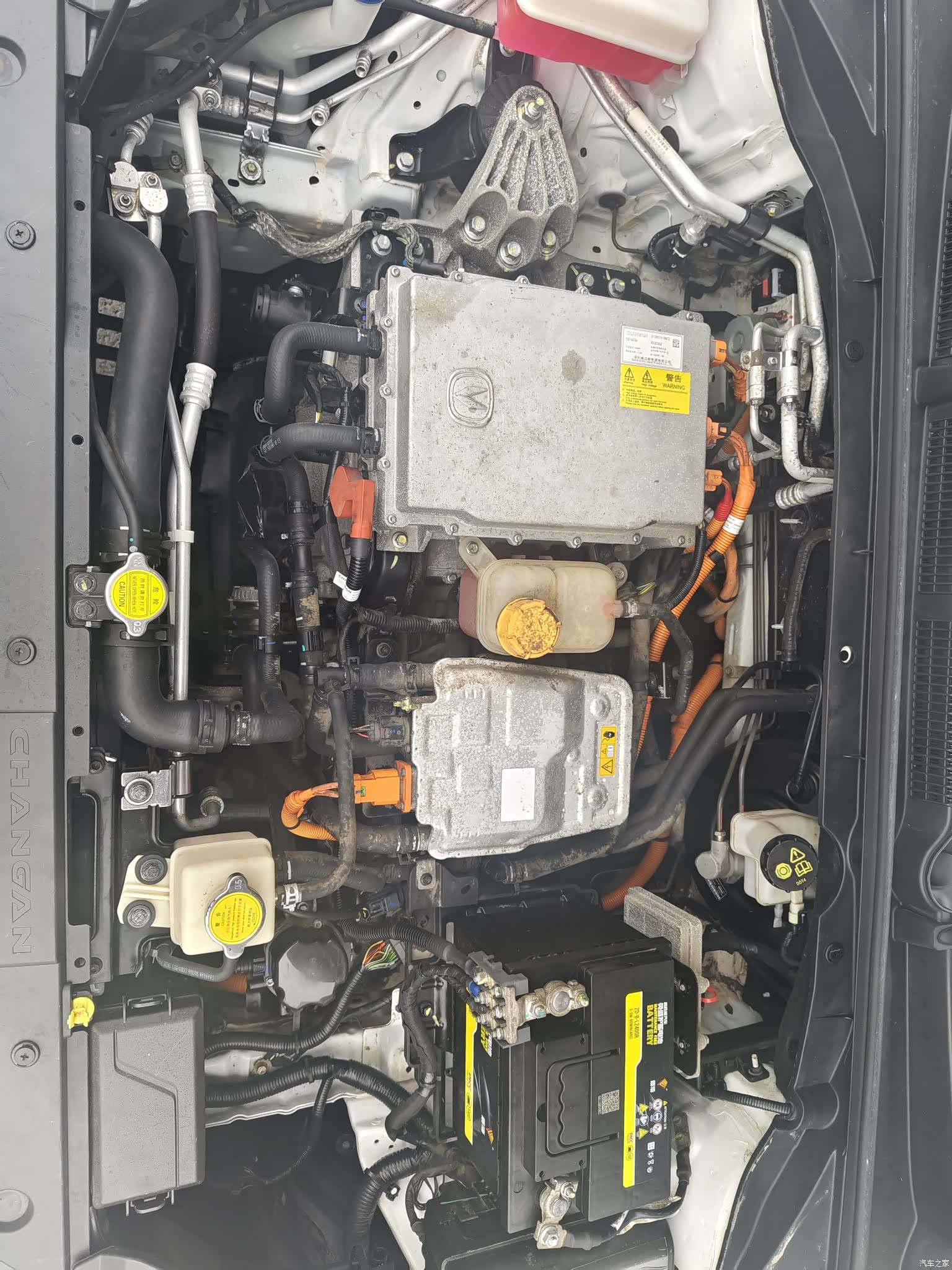 Changan Eado, 2019 8