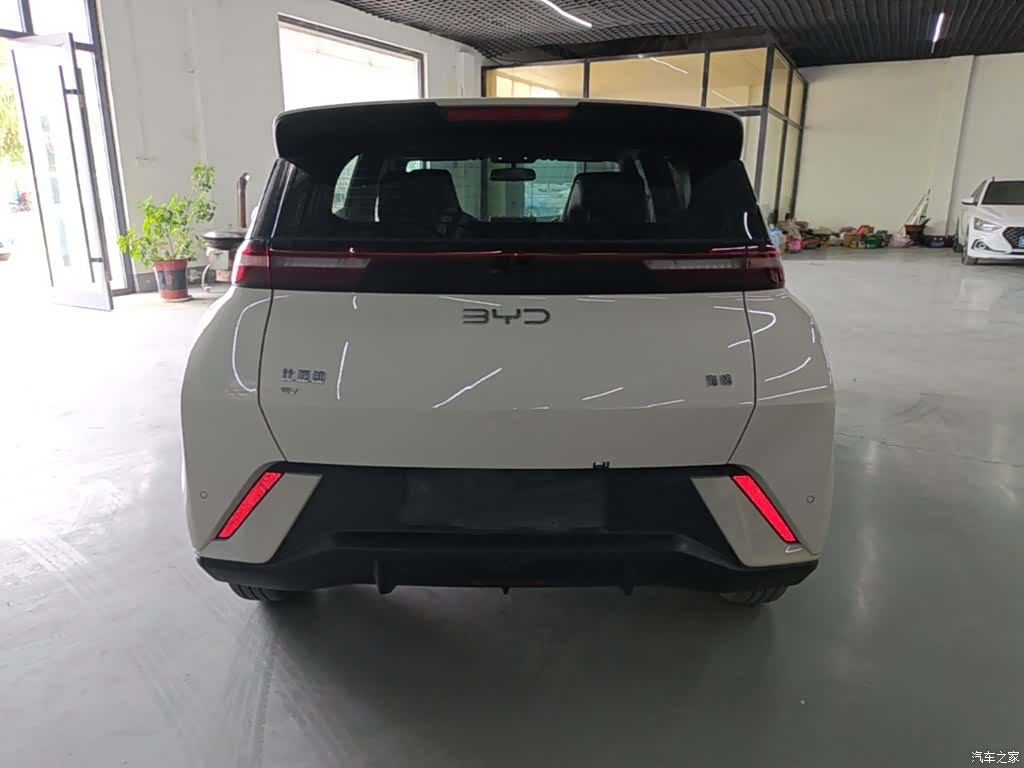 BYD Seagull, 2024 6