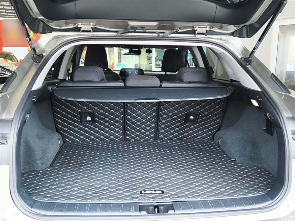 Lexus RX, 2020 19
