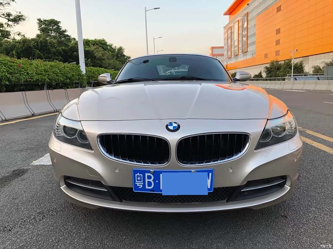 BMW Z4, 2010 2