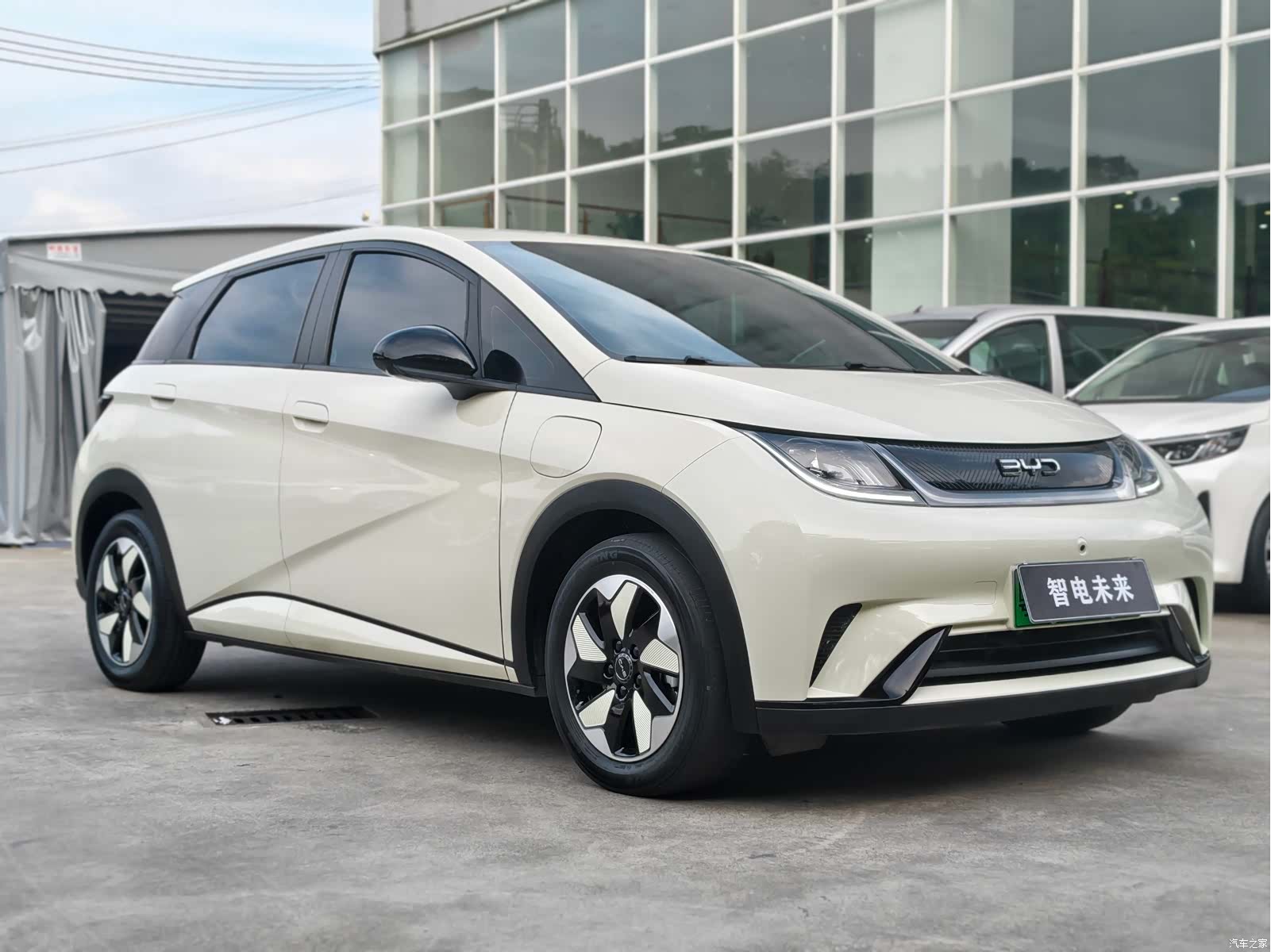 BYD Dolphin, 2024 3