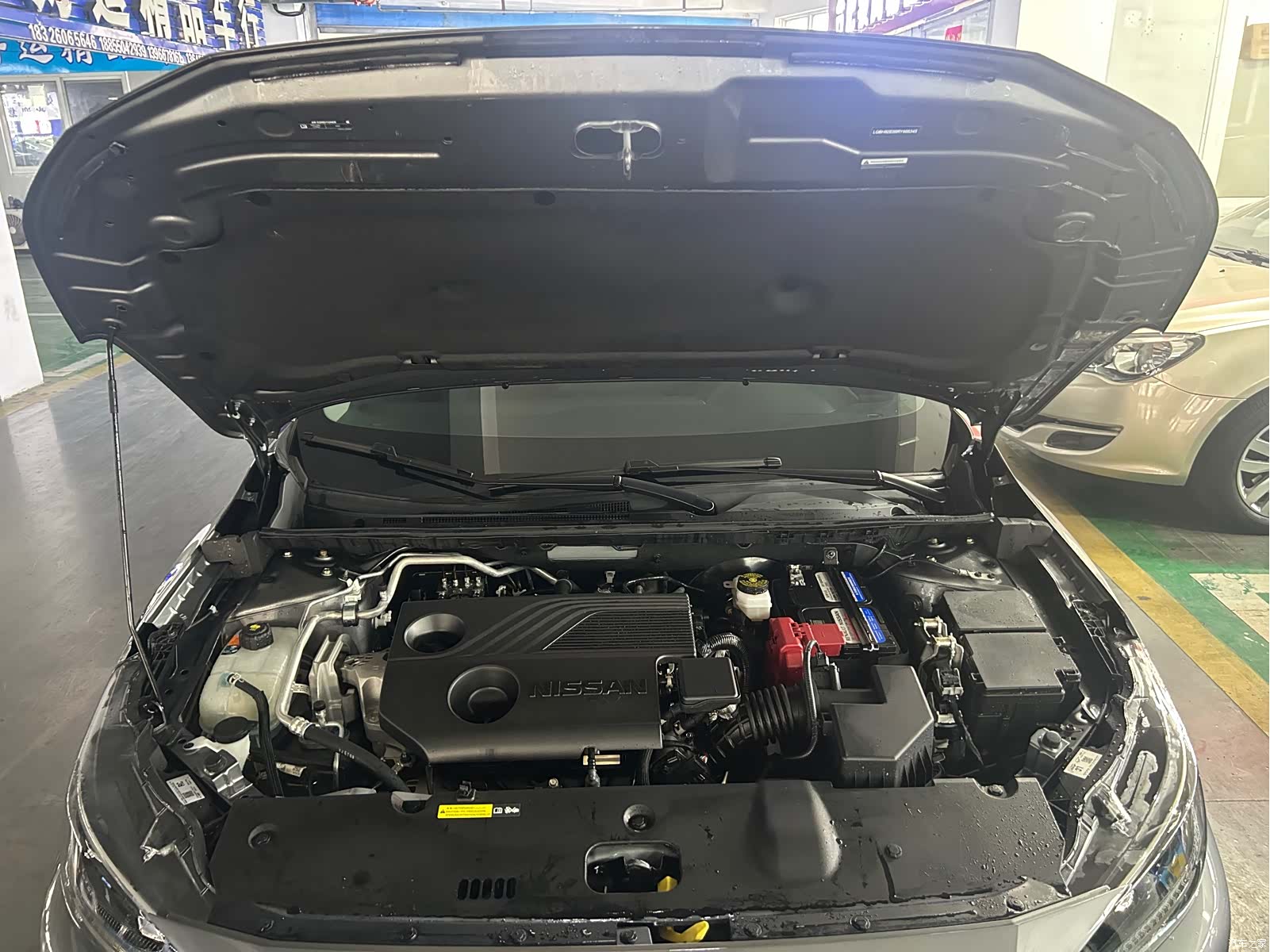 Nissan Sylphy, 2024 18