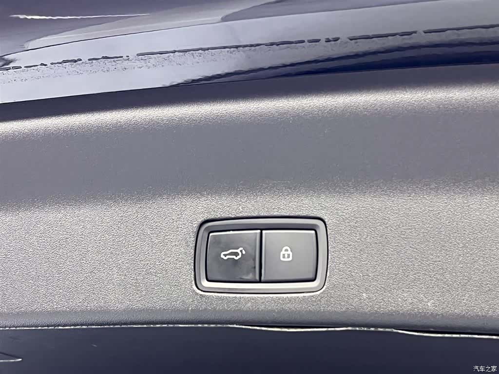 Li Auto L9, 2024 10