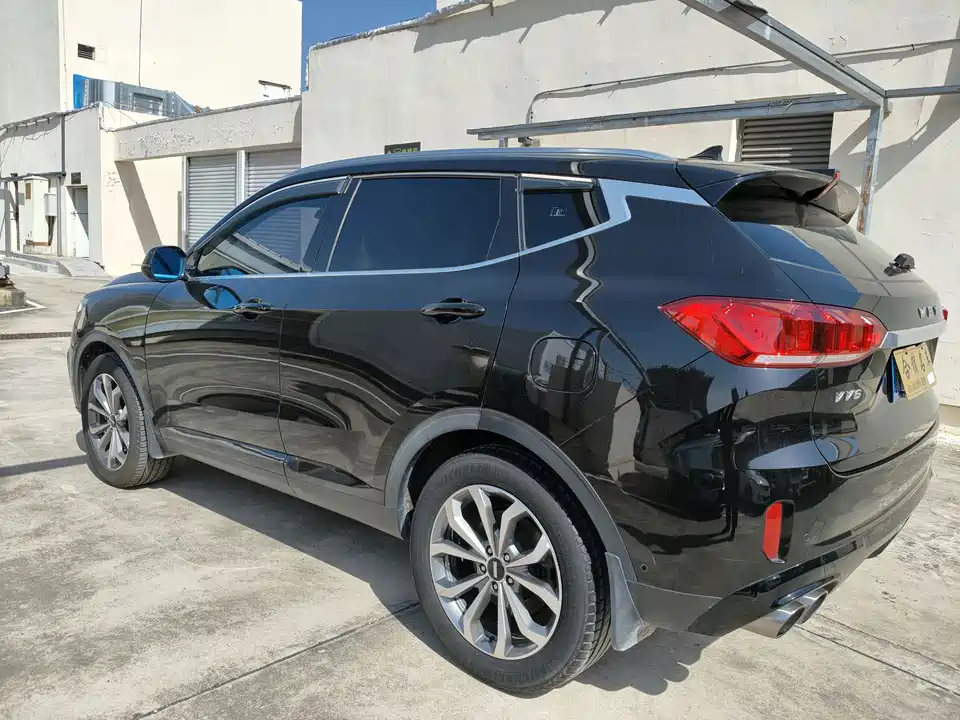 Weipai VV6