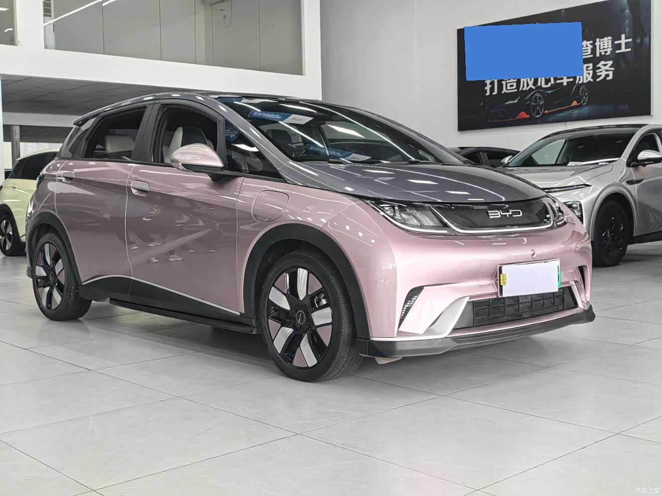 BYD Dolphin, 2022 3