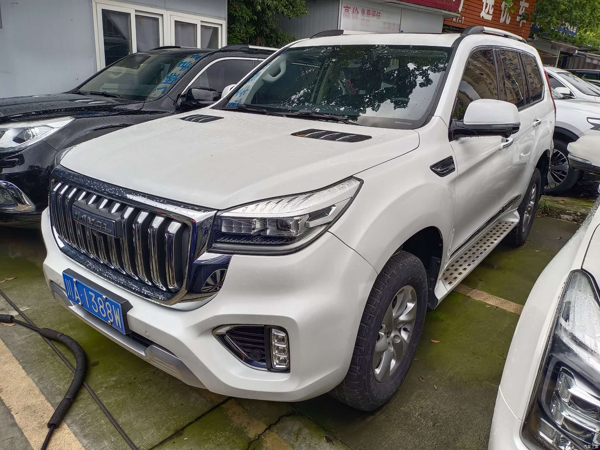 Haval H9, 2023 1