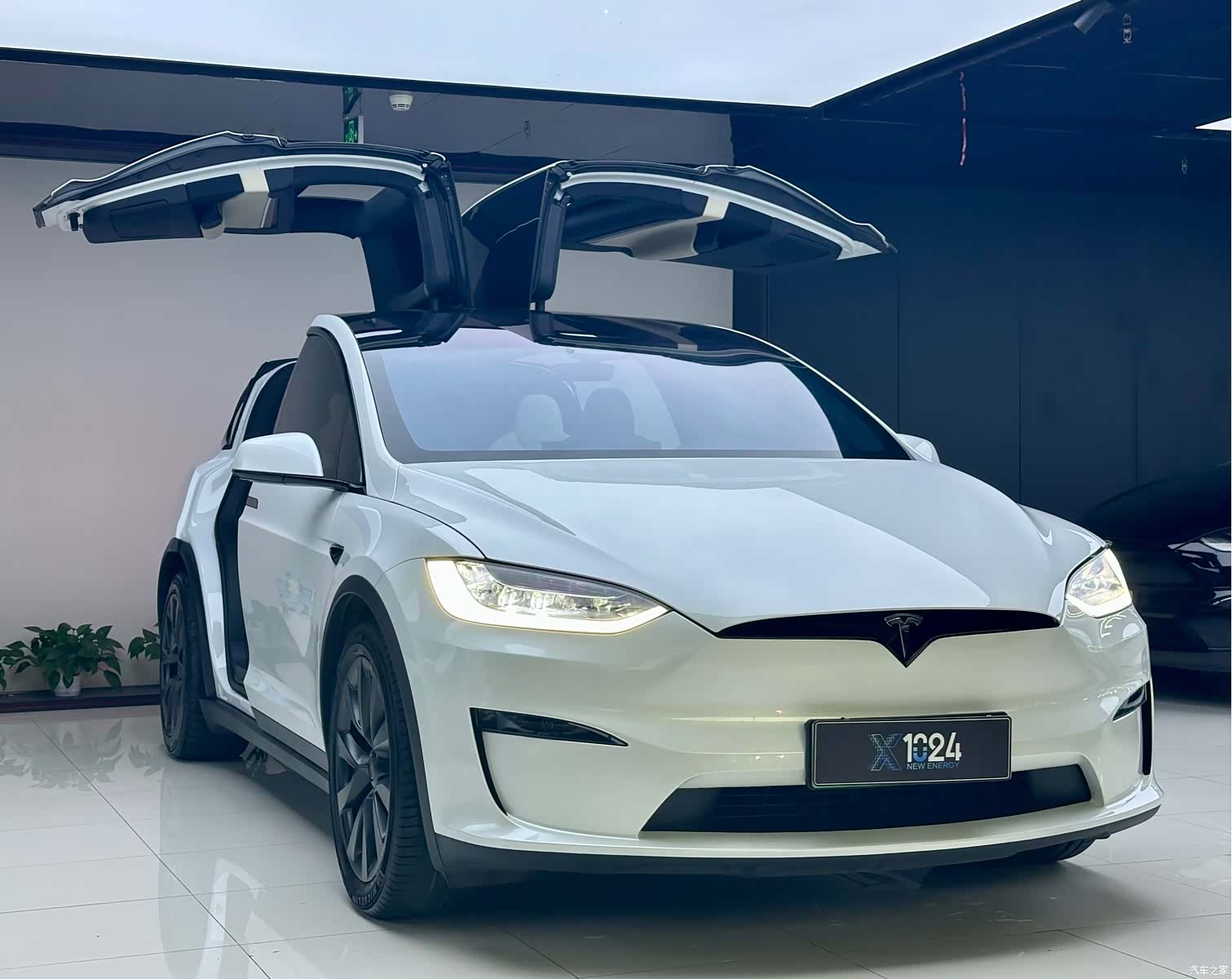 Tesla Model X, 2023 3