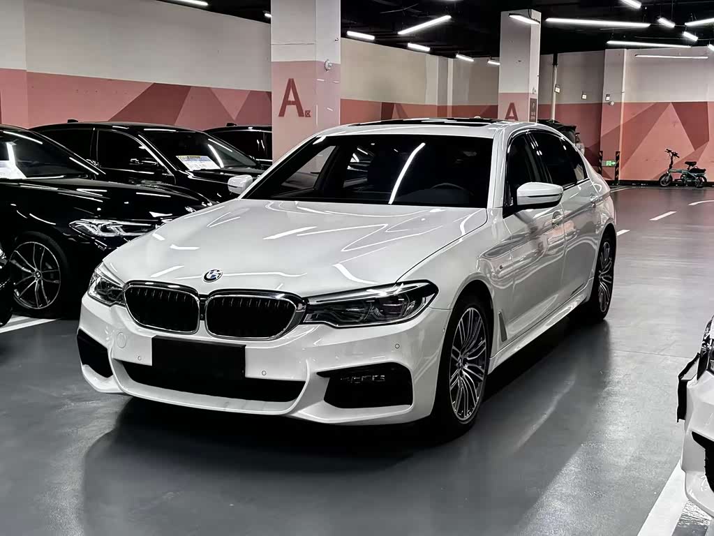 BMW 5 Series 5 2019 530Li Premium M Sport