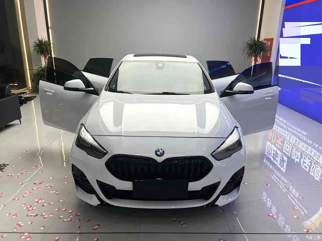 BMW 2 Series, 2021 8