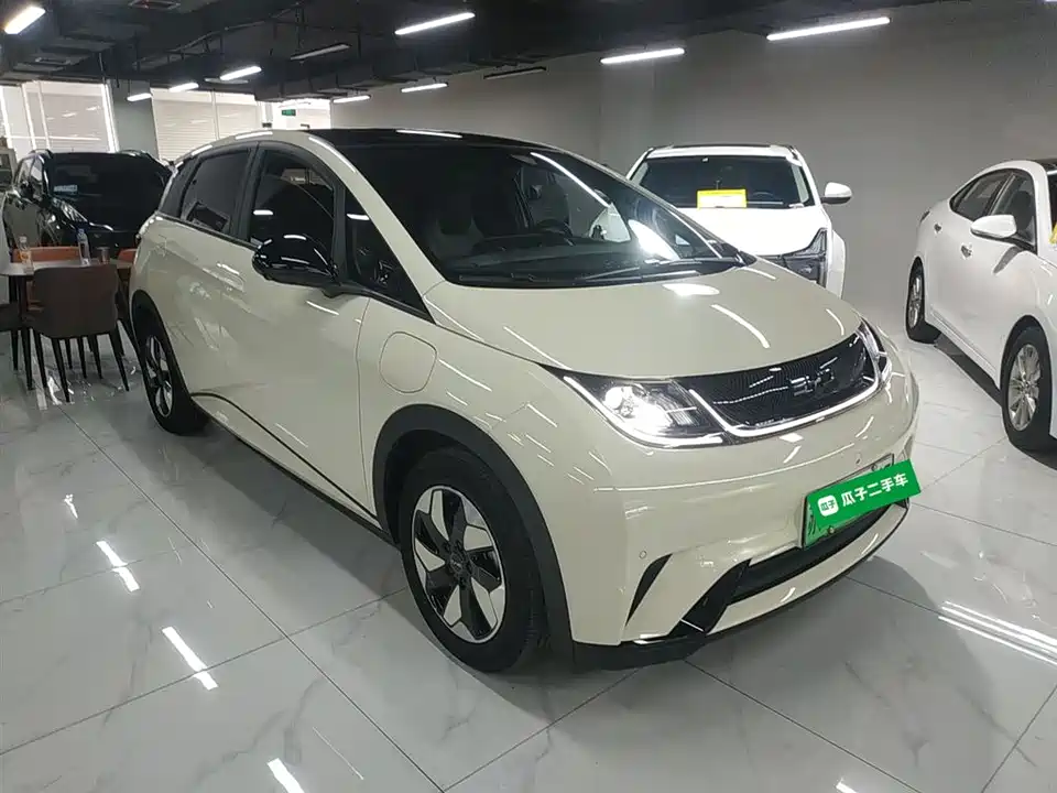 BYD dolphin