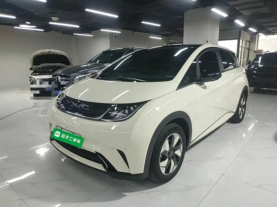 BYD dolphin