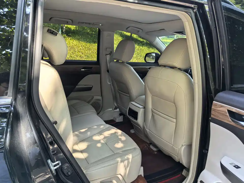 Trumpchi Trumpchi GS8